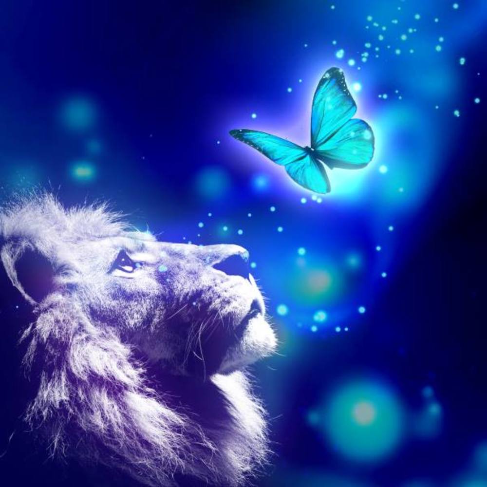 Meet your Posher, Theresa